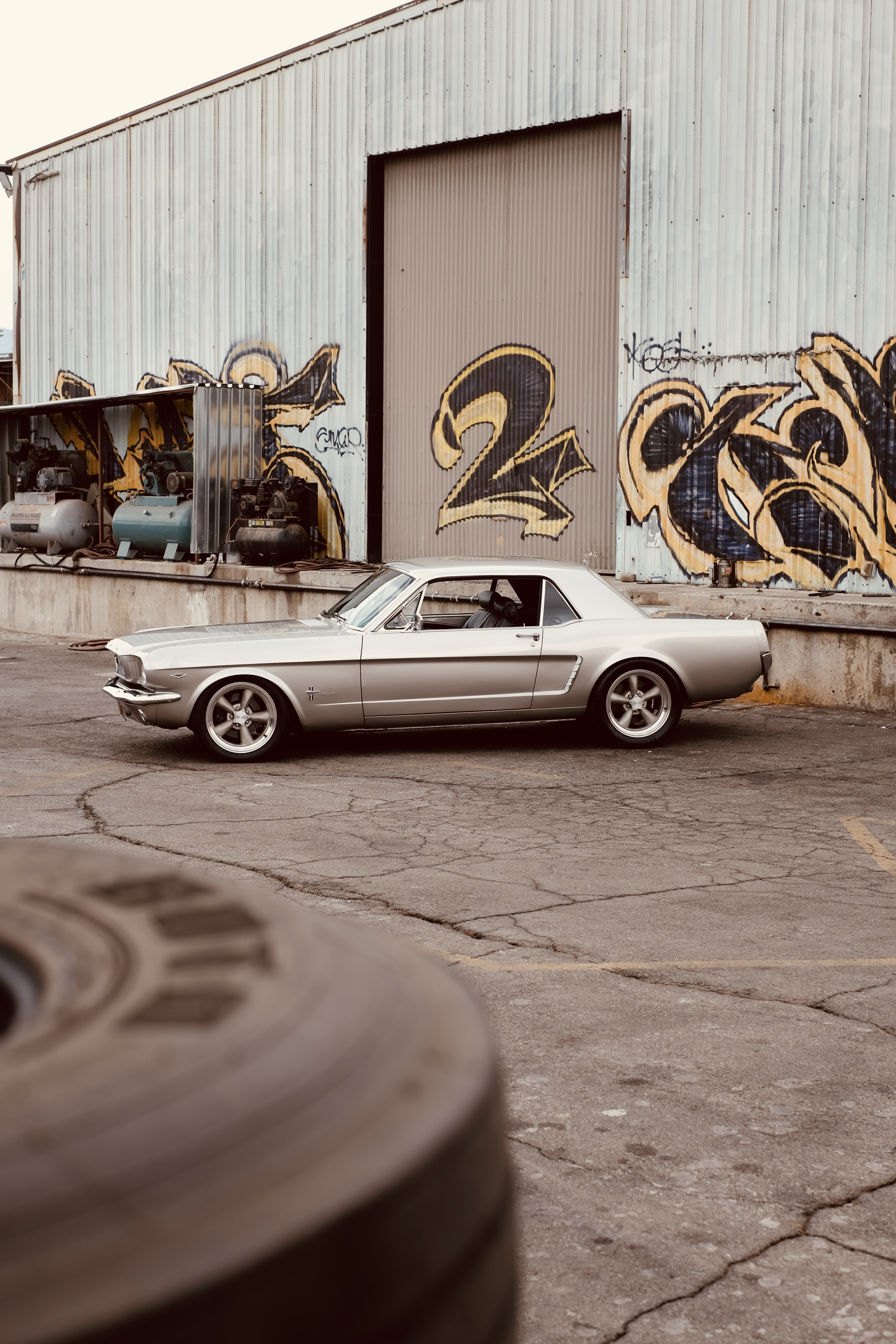 MUSTANG 