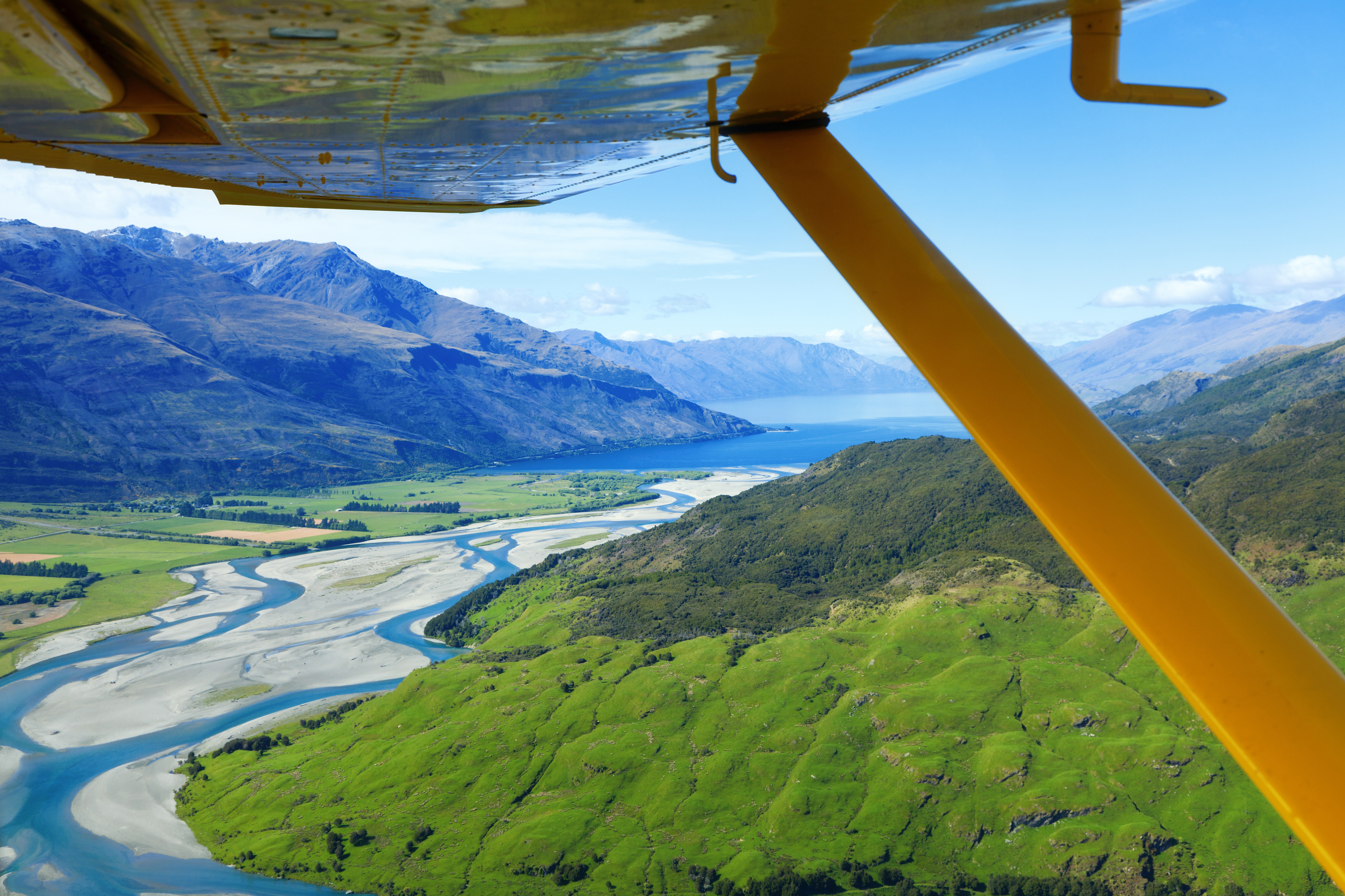 NEW ZEALAND FLY