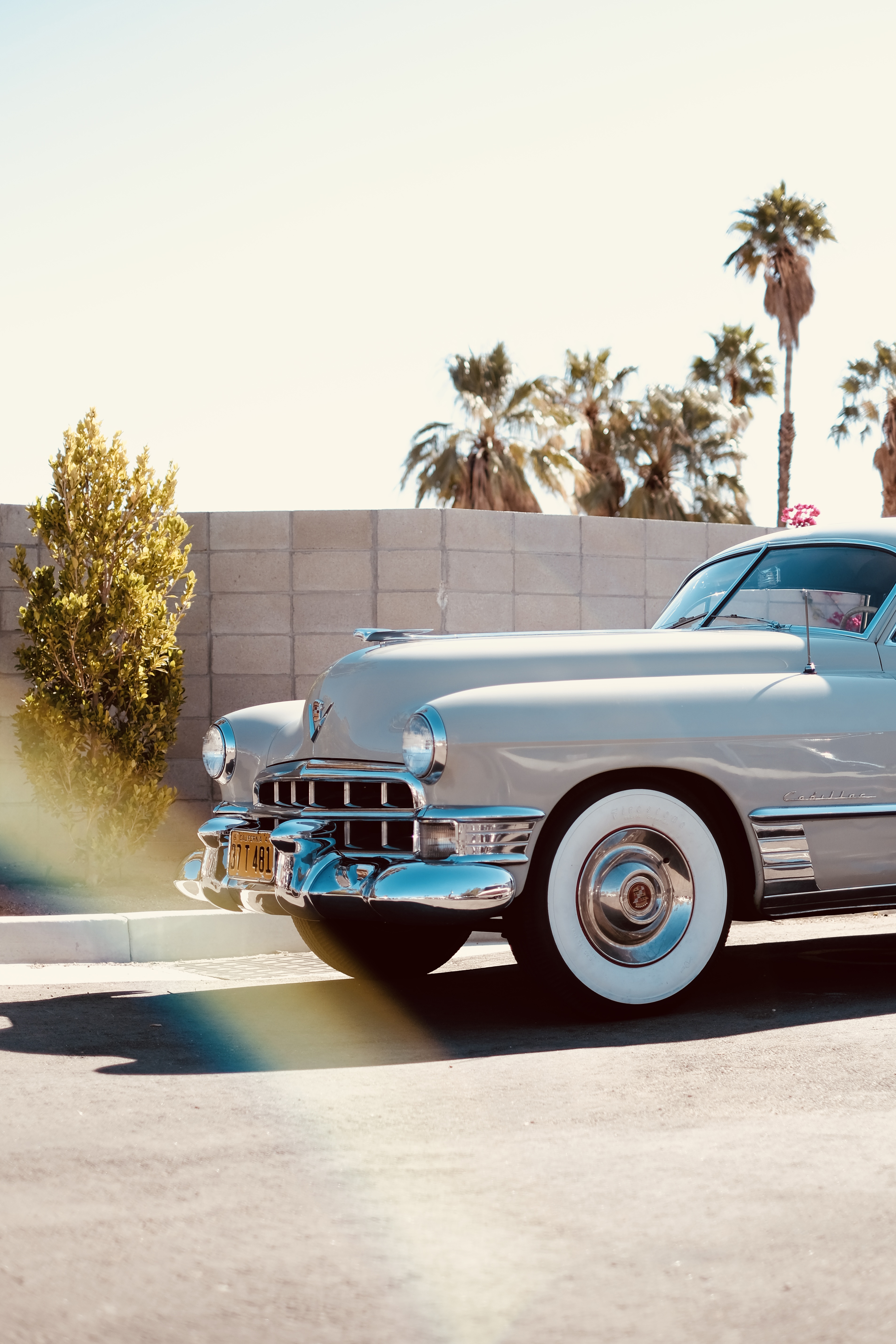PALM SPRINGS CADDY