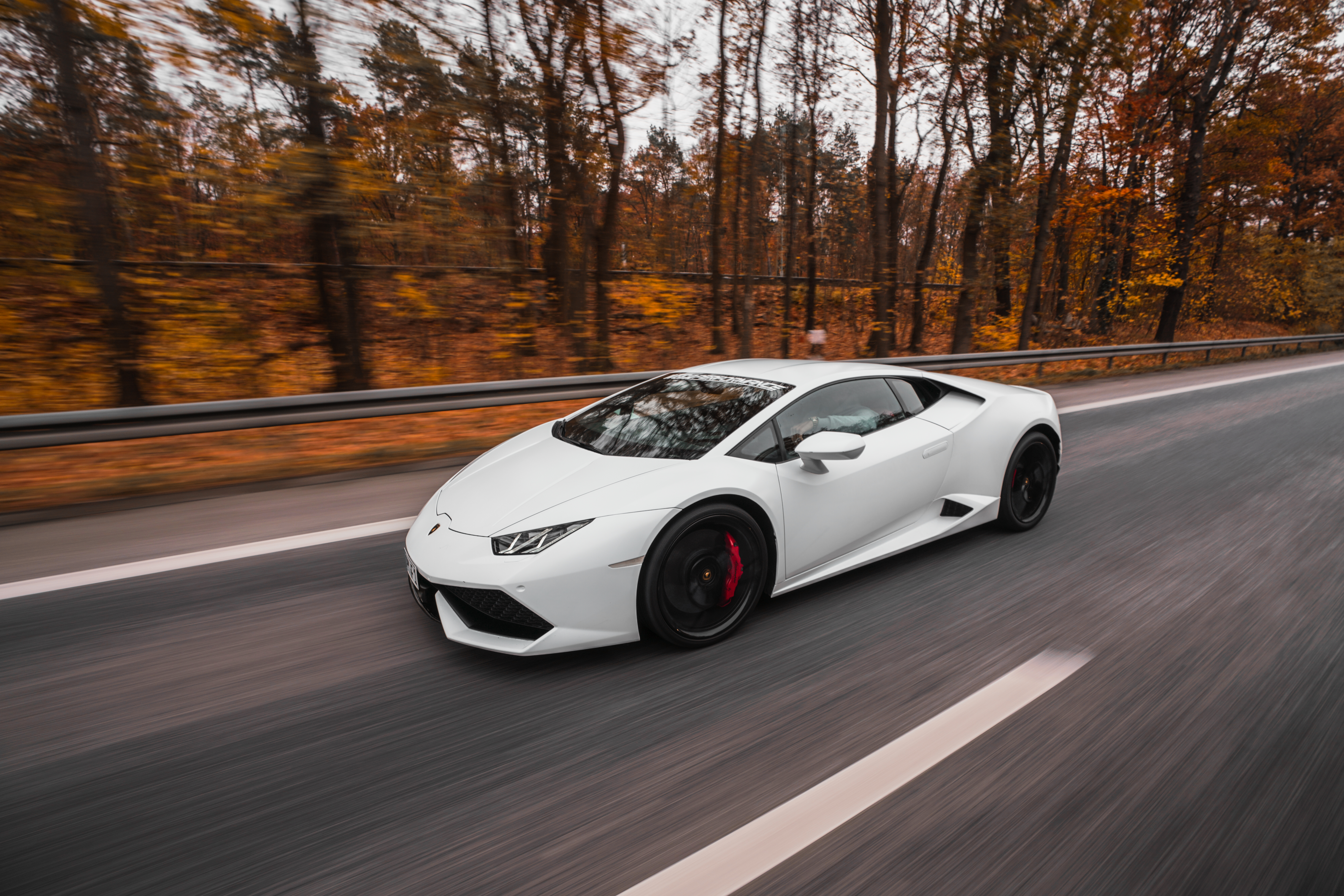 WHITE LAMBO