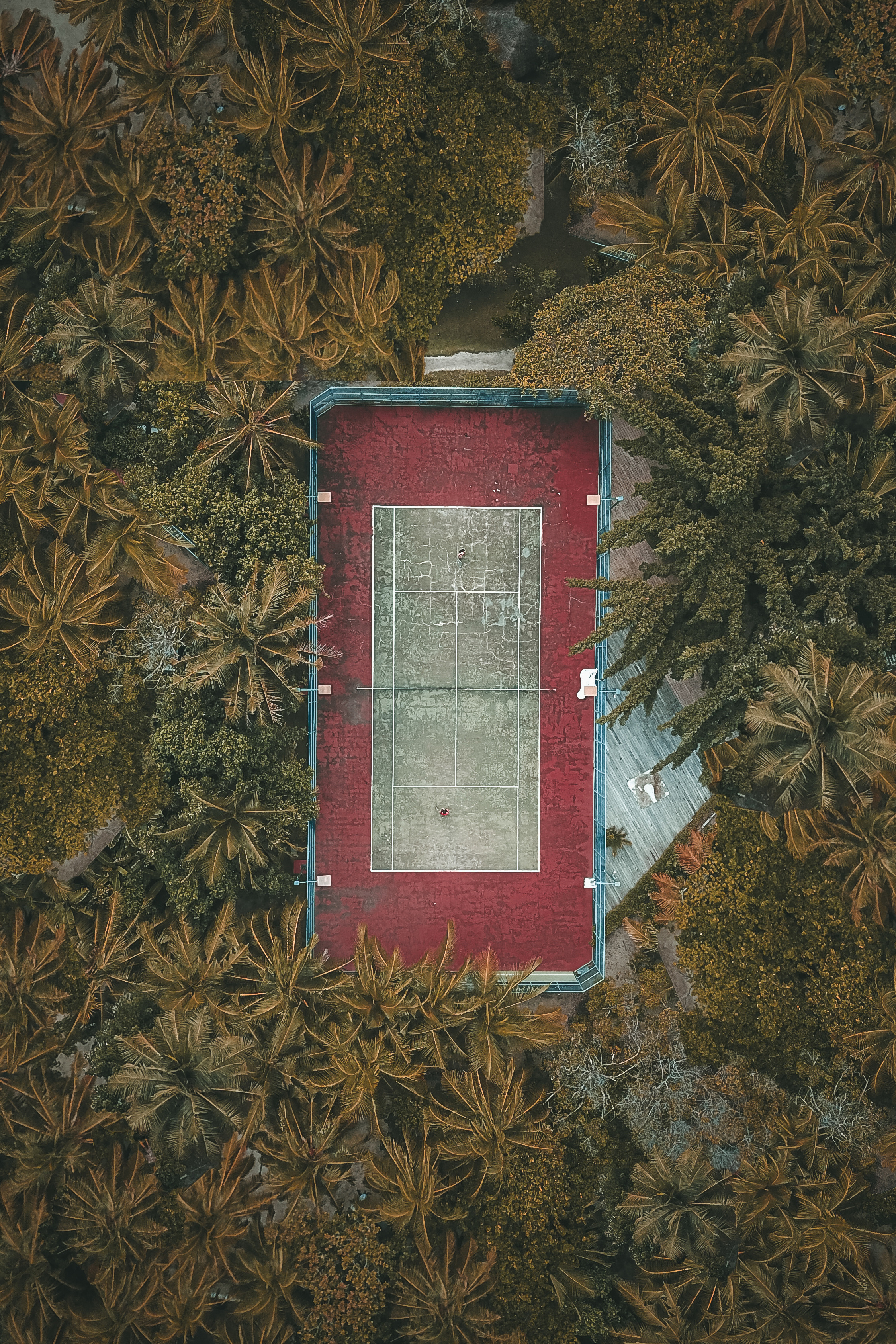 TROPICAL TENNIS