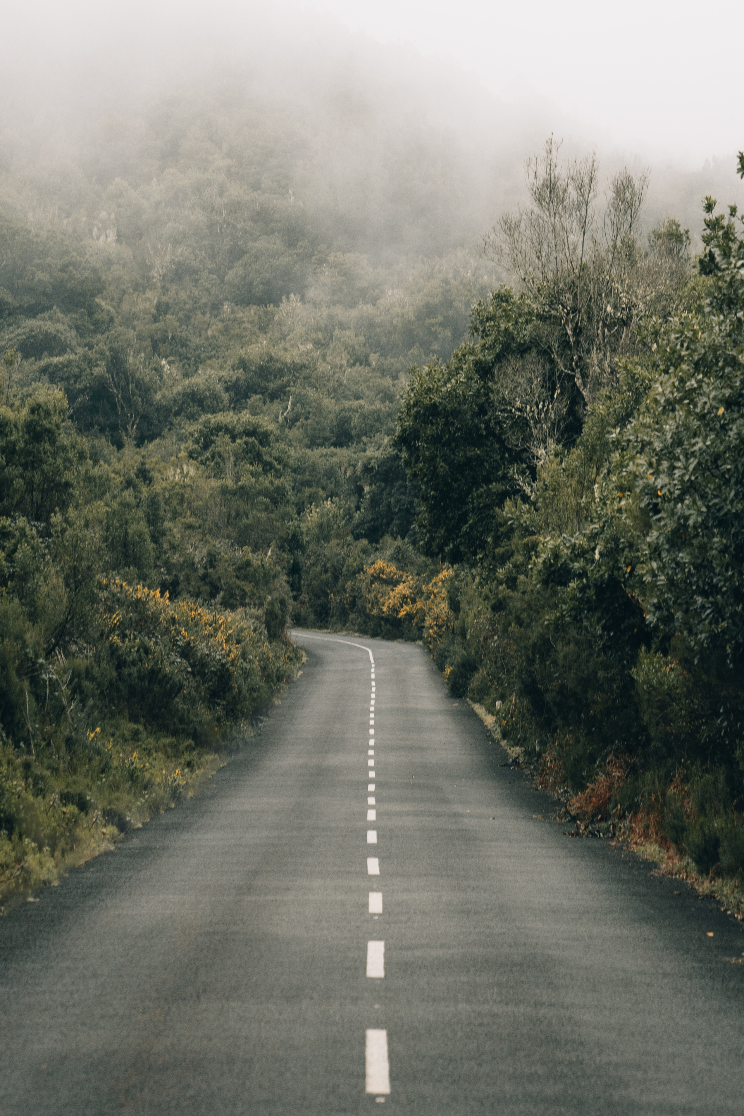 MADEIRA II 