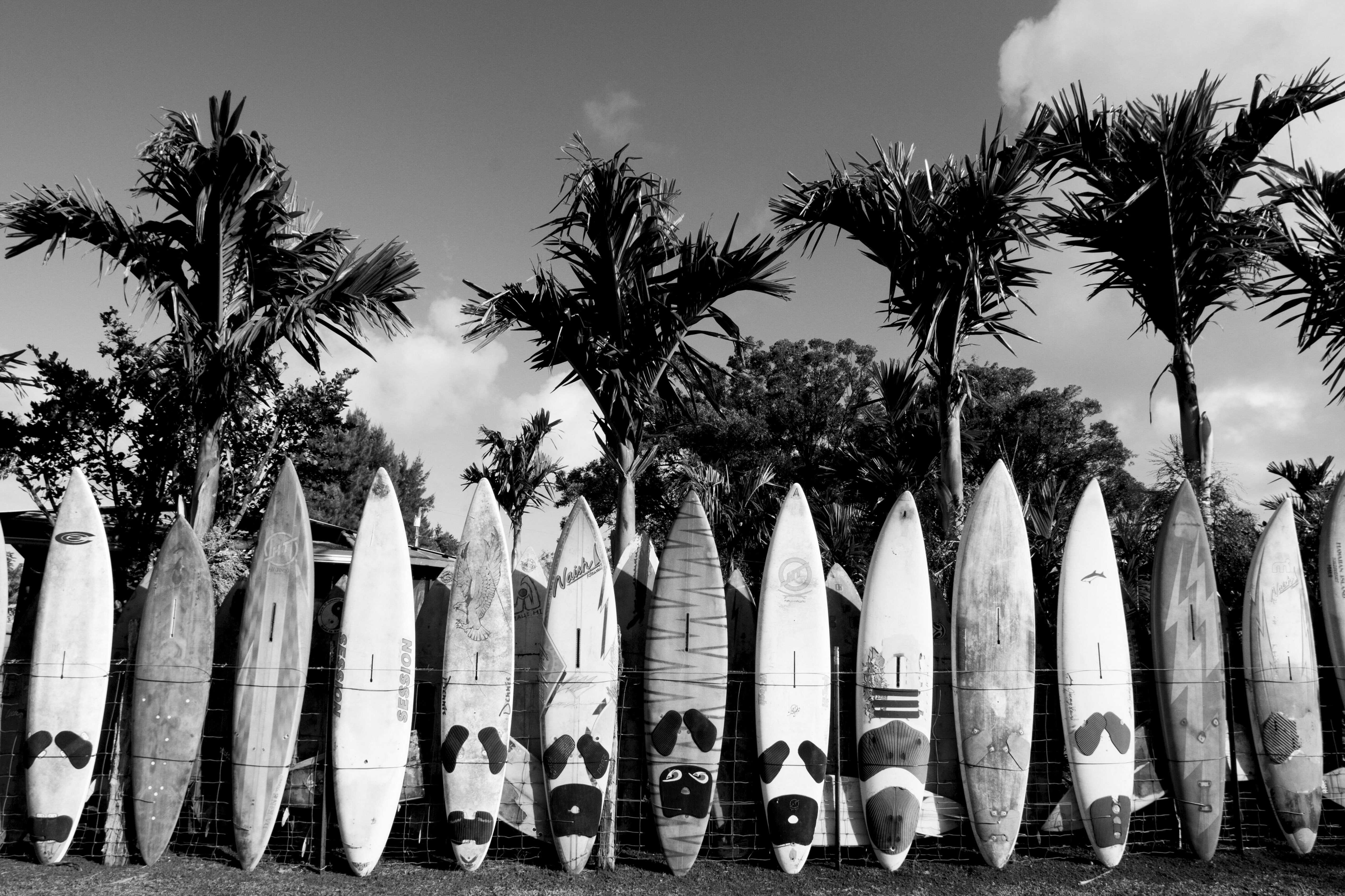 SURFBOARDS