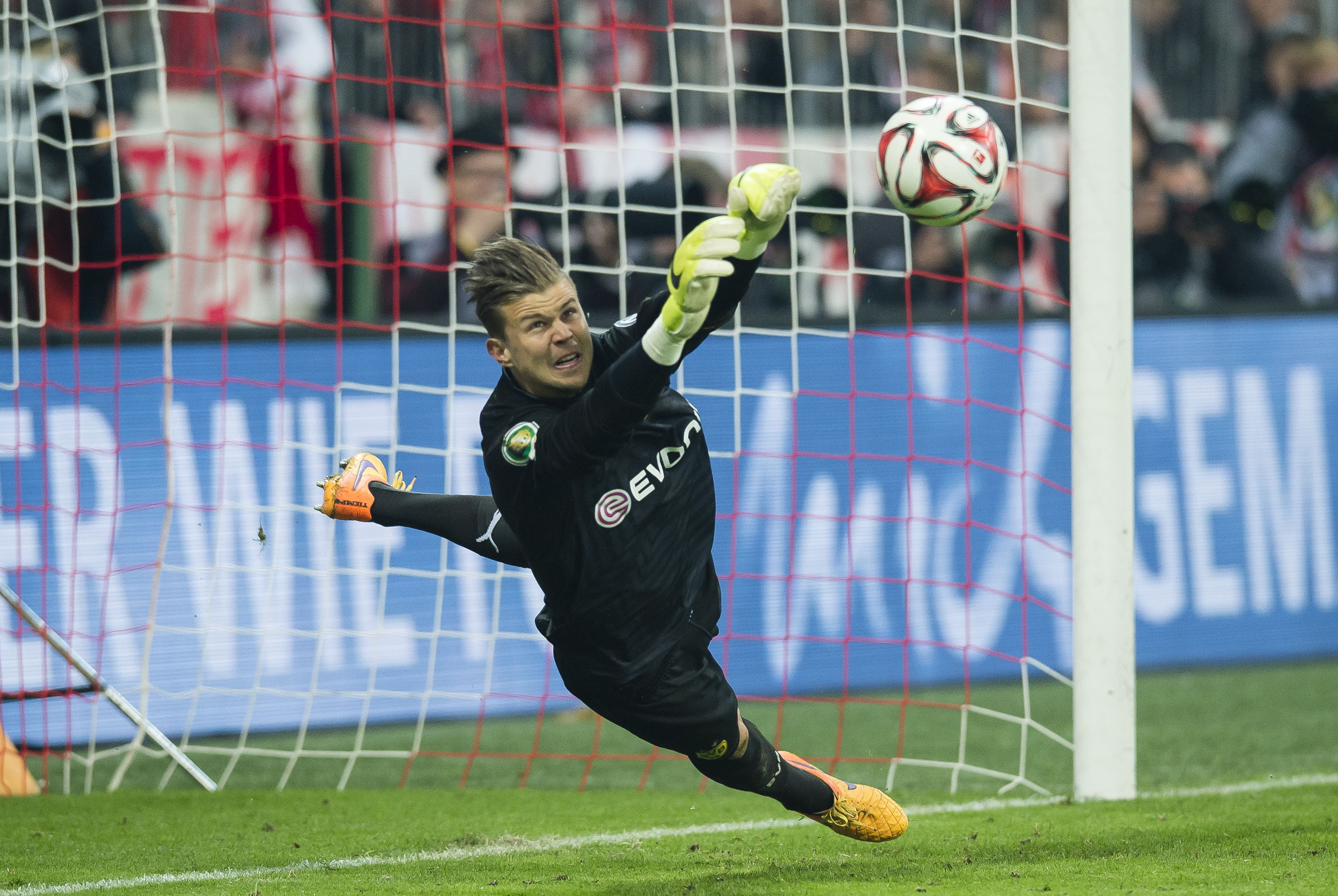 MITCHELL LANGERAK